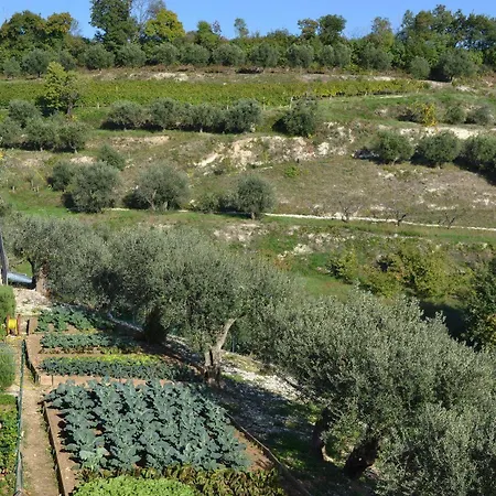 منزل ريفي Relais Di Campagna I Tamasotti Mezzane di Sotto