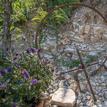 Relais Di Campagna I Tamasotti